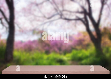 Wild himalayana fiore di ciliegio la sfocatura dello sfondo con ripiano in legno Foto Stock