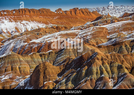 Lone Pine Tree sul bordo del Bryce Canyon, Cina Foto Stock