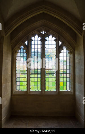 Pietra, Vetro piombato nel chiostro, St Edmundsbury Cathedral, Bury St Edmunds, Suffolk, Inghilterra Foto Stock