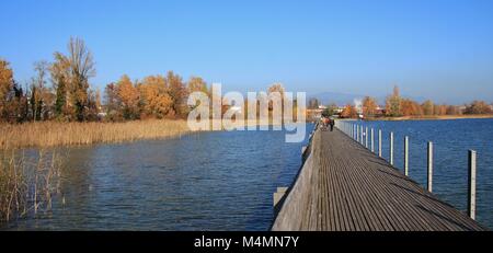 - Lago Obersee, reed e alberi d'oro. Autunno scena in Svizzera. Il lungomare. Foto Stock