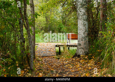 Sentiero forestale coperto di foglie di autunno portando ad una panchina nel parco sul lungomare affacciato sul laghetto Foto Stock