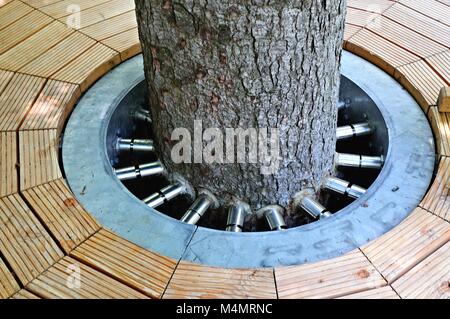 Con viti di acciaio nel tronco di albero Foto Stock