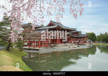 Byodo-in tempio di Uji, Kyoto, Giappone durante la primavera. Fiore di Ciliegio in Kyoto, Giappone. Foto Stock