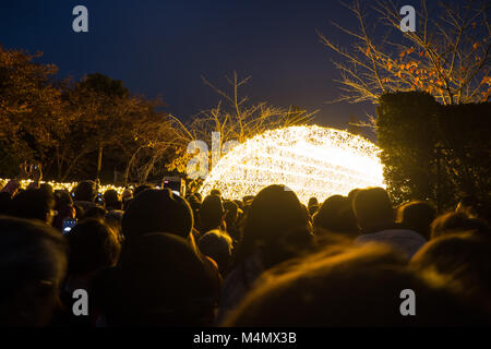 NAGOYA, Giappone - 18 Novembre 2017 : Illuminazione invernale mostrano a Nabana No Sato - il tunnel di luce Foto Stock