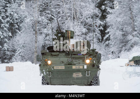 I soldati assegnati a società a baionetta, 1° Battaglione, quinto reggimento di fanteria, 1° Stryker Brigade Combat Team, XXV divisione di fanteria, U.S. Esercito di Alaska, prepararsi per live-fire gunnery training durante il funzionamento conca a base comune Elmendorf-Richardson, Alaska, Feb 16, 2018. Funzionamento Conca è stato un battaglione-livello, bracci combinato, live-esercizio di incendio che si è concentrato sulla letalità artico. (U.S. Air Force foto di Alejandro Peña) Foto Stock