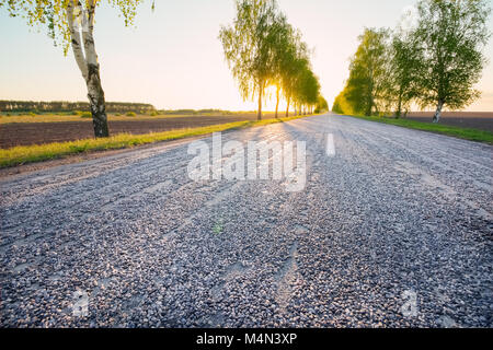 Il paesaggio della autostrada con alberi lungo la strada in background contro una bella estate tramonto Foto Stock