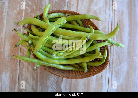 Appena raccolto i fagiolini verdi in un cestello Foto Stock