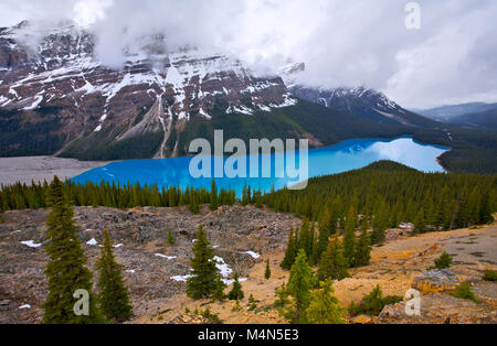 Peyto Lake nel Parco Nazionale di Banff, Alberta, Canada Foto Stock