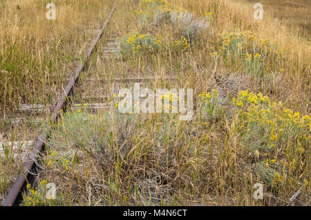 Abbandonati i binari della ferrovia che corre attraverso la praire vicino a Wilsall Montana Foto Stock