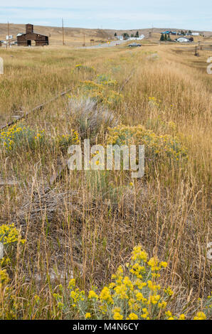 Abbandonati i binari della ferrovia che corre attraverso la praire vicino a Wilsall Montana Foto Stock