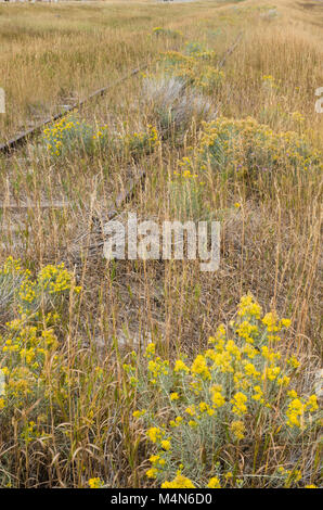 Abbandonati i binari della ferrovia che corre attraverso la praire vicino a Wilsall Montana Foto Stock