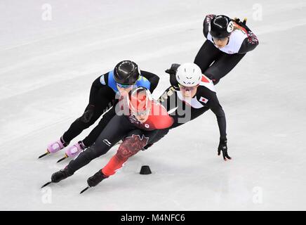 Pyeongchang, Corea del Sud. 7 febbraio, 2018. Kim Boutin (CAN) conduce. Short track. Gangneung ice arena. Pyeongchang2018 Olimpiadi invernali. Gangneung. Repubblica di Corea. 17/02/2018. Credito: Sport In immagini/Alamy Live News Foto Stock