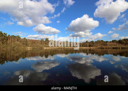 Ceneri Vale, Surrey, Inghilterra. 17 febbraio 2018. Una giornata favolosa di cielo blu e tempo equo cumulus cloud, si riflette nelle calme acque del Greatbottom Flash sul Basingstoke Canal a Ash Vale, Surrey. Credito: Julia Gavin/Alamy Live News Foto Stock