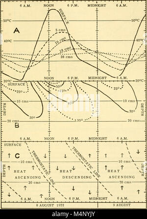 Biologia dei deserti - il procedimento di un simposio sulla biologia di caldo e freddo deserti organizzato dall'Istituto di Biologia (1954) (20355865386) Foto Stock