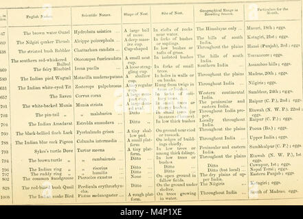 Uccelli nidificanti in India. Un calendario delle stagioni di allevamento, e una famosa guida per le abitudini e la tormenta degli uccelli. Illustrato (1877) (14750586245) Foto Stock