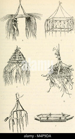 Boletn de la Real Sociedad Espaola de Historia naturale (1904-) (20200565700) Foto Stock