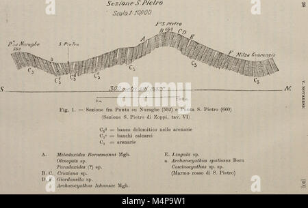 Bollettino del R. Comitato geologico d'Italia. (1922) (20205623809) Foto Stock