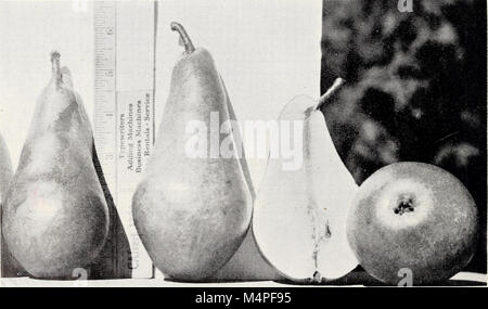 Abbondante Ridge vivai - il nostro catalogo completo e guida di semina per l'autunno 1948 e la primavera 1949 (1948) (19785920383) Foto Stock