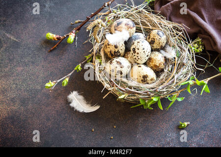 Uova di Pasqua nel nido di uccelli sul metallo rustico sfondo. Quaglia uova di pasqua con molla il verde delle foglie e piume nel nido su tavola marrone con copia spazio. S Foto Stock