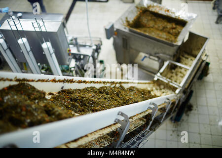 Insalata di alghe marine sulla linea di produzione Foto Stock