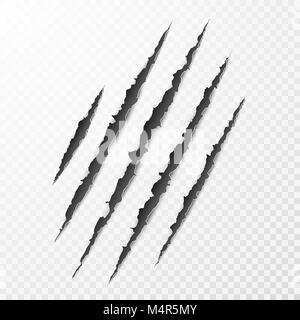 Scary leceration la superficie della carta. Animale selvaggio artigli graffiare la texture. Strappato il bordo della carta. Isolato illustrazione vettoriale Illustrazione Vettoriale