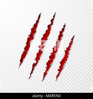 Scary leceration la superficie della carta. Animale selvaggio artigli graffiare texture con sfondo rosso. Strappato il bordo della carta. Isolato illustrazione vettoriale Illustrazione Vettoriale