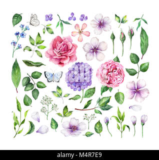 Grande set di fiori (rose, ortensie, melo fiori), foglie e petali di fiori e farfalle isolati su sfondo bianco. Arte illustrazione ad acquerello. Foto Stock