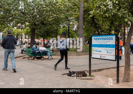 SALTA, Argentina - 3 ottobre 2017: le persone e i cani randagi nel parco. Foto Stock