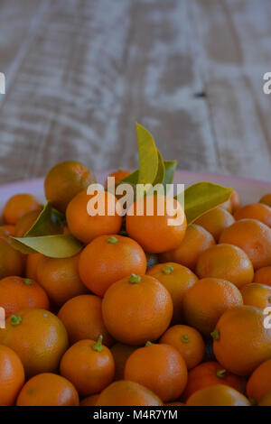 Limau Kasturi, noto anche come Kalamansi o Calamondin, (nome scientifico: Citrus microcarpa), un piccolo e rotondo, di colore arancio lime. Foto Stock