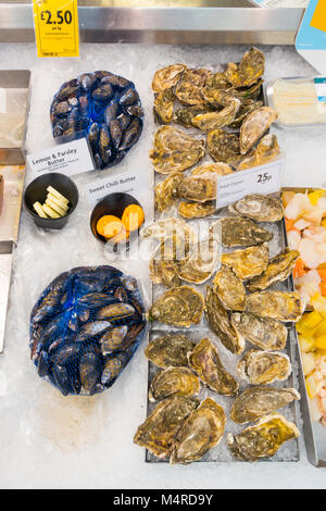 Visualizzazione della shell di fresco pesce ostriche e cozze su un contatore di supermercati con prezzi 2018 Foto Stock