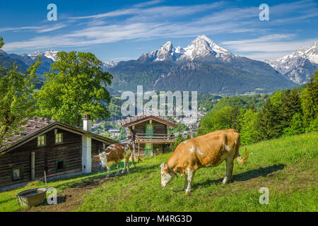 Bella vista panoramica di idilliaci paesaggi alpini con un tradizionale chalet di montagna e le mucche al pascolo su prati verdi su una bella giornata di sole Foto Stock