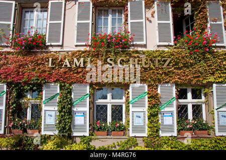 Collezione Autunno colori, tralci di vino al ristorante L' Ami Schutz, La Petite France (Little France), Strasburgo, Alsazia, Bas-Rhin, Francia, Europa Foto Stock