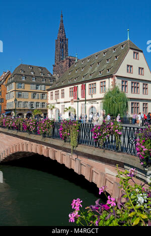 Fiore decorate Pont Corbeau con vista sulla cattedrale di Strasburgo, Alsazia, Bas-Rhin, Francia, Europa Foto Stock