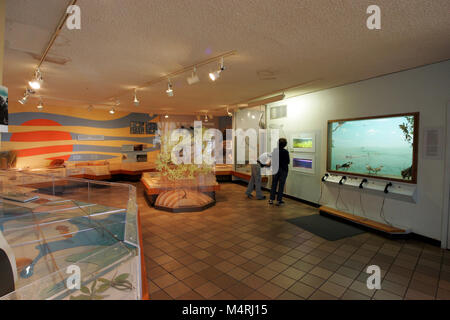 Museo di Flamingo Visitor Center Museum di Flamingo Visitor Center, Foto Stock