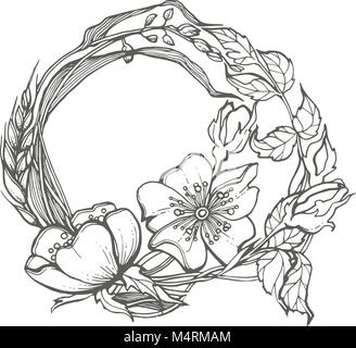 Cane selvatico rose fiori disegno telaio clipart vettoriali su sfondo bianco. Illustrazione Vettoriale