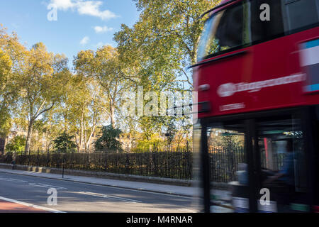 Red London bus su Theobalds Road di fronte di alberi in Grays Inn Gardens, London, Regno Unito Foto Stock