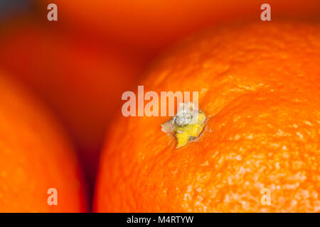 Un sacco di arance giace su altri frutti Foto Stock