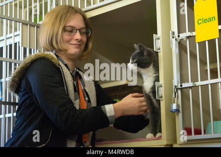 Un volontario animali domestici un cucciolo presso i locali di ricovero degli animali. Foto Stock