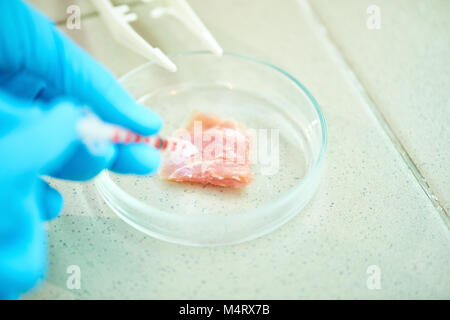 Inquadratura ravvicinata di un irriconoscibile ricercatore avvolto in crescente di carne coltivato mentre si lavora sul progetto ambizioso in laboratorio moderno Foto Stock