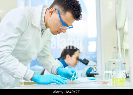 Vista di profilo di scienziato concentrato Ispezione di qualità in vitro di campioni di carne mentre il suo collega di sesso femminile mediante microscopio, interno del laboratorio moderno Foto Stock