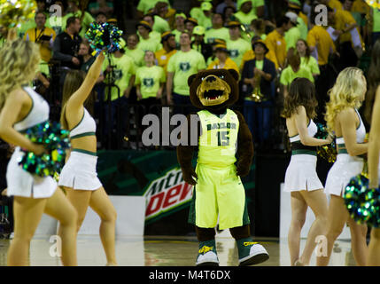 Waco, Texas, Stati Uniti d'America. Xvii Feb, 2018. Baylor Bears mascotte wit le cheerleaders prima di pallacanestro del NCAA di gioco tra il Texas Tech Red Raiders e Baylor porta al centro di Ferrell a Waco, Texas. Matthew Lynch/CSM/Alamy Live News Foto Stock