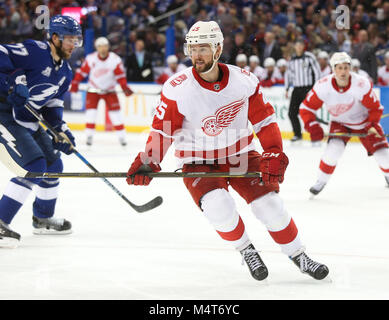 Tampa, Florida, Stati Uniti d'America. 15 Feb, 2018. DIRK SHADD | Orari .ali rosse di Detroit defenceman Mike verde (25) sul ghiaccio contro il Tampa Bay Lightning durante il secondo periodo di azione al Amalie Arena a Tampa Giovedì sera (15/02/18) Credito: Dirk Shadd/Tampa Bay volte/ZUMA filo/Alamy Live News Foto Stock