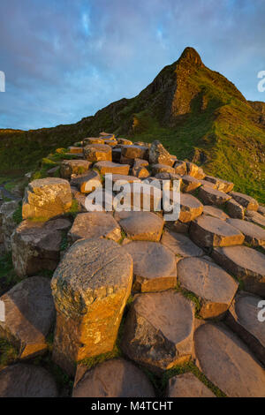 Il esagonale a colonne di basalto del Giant's Causeway, paese di Antrim, Irlanda del Nord. Foto Stock