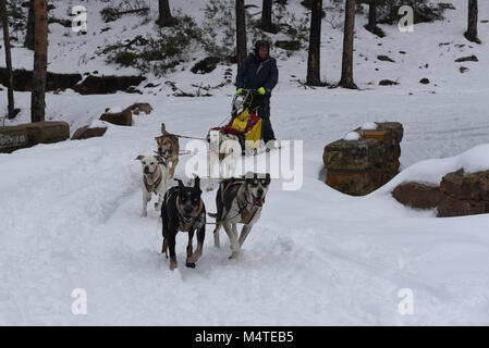 Covaledad, Spagna. Xvii Feb, 2018. Un musher e i suoi cani in slittino gara uno stadio durante la prima edizione di "oria al Límite' gara di slittino in tutta la gamma di montagna di Urbión, in a Covaleda, nel nord della Spagna. Credito: Jorge Sanz/Pacific Press/Alamy Live News Foto Stock