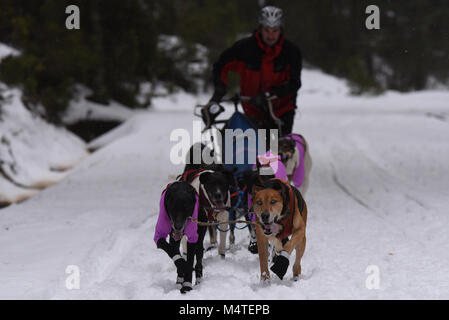 Covaledad, Spagna. Xvii Feb, 2018. Un musher e i suoi cani in slittino gara uno stadio durante la prima edizione di "oria al Límite' gara di slittino in tutta la gamma di montagna di Urbión, in a Covaleda, nel nord della Spagna. Credito: Jorge Sanz/Pacific Press/Alamy Live News Foto Stock