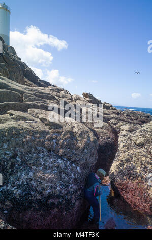 Percebes raccoglitori (percebeiros) nella morte Costa, Galizia, Spagna Foto Stock