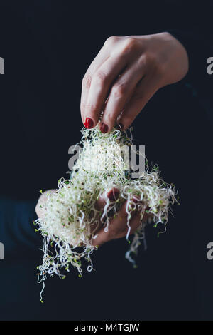 Donna contiene un mucchio di germogli alfalfa Foto Stock