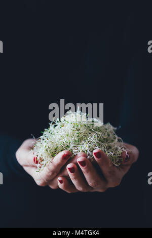 Donna contiene un mucchio di germogli alfalfa Foto Stock