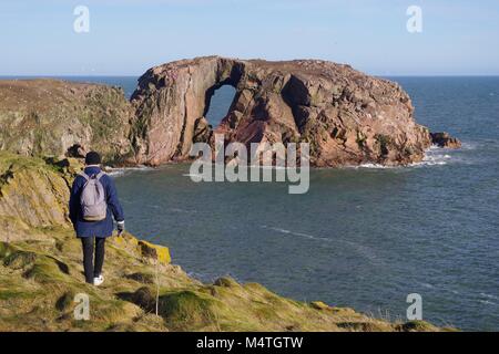 Walker lungo la scogliera sentiero costiero da Cruden Bay presso l'arco di Dunby. Aberdeenshire, Scotland, Regno Unito. Su un soleggiato inverni giorno. Febbraio, 2018. Foto Stock