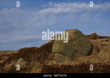 Il Lichen coperto masso di granito in cima ad una brughiera coperta Seacliff. Cruden Bay, Aberdeenshire, a nord est della Scozia, Regno Unito. Foto Stock